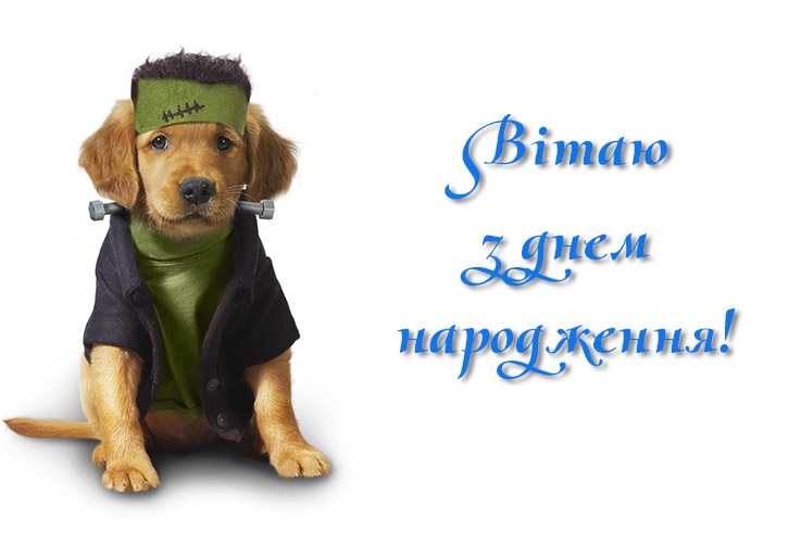 Прикольні привітання з днем народження жінці - лучшие открытки